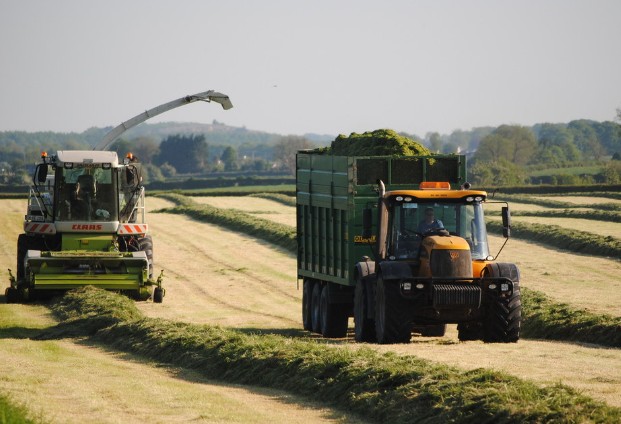 Silage and Hay Requirement Calculator for Winter Feeding